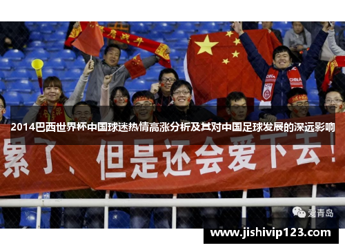 2014巴西世界杯中国球迷热情高涨分析及其对中国足球发展的深远影响