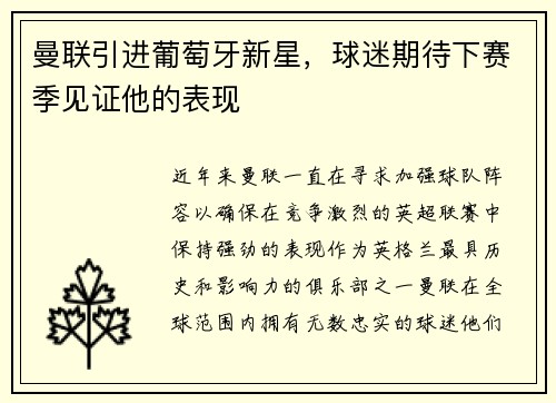 曼联引进葡萄牙新星，球迷期待下赛季见证他的表现